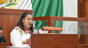 Son necesarias oficinas del INPI en Tlaxcala: Diputada Brenda Cecilia Villantes